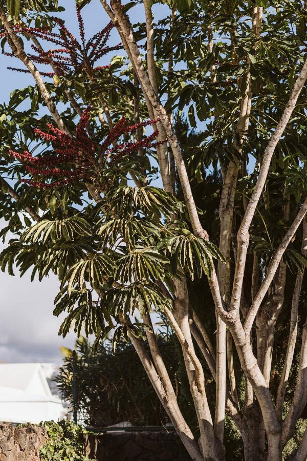 Vila La Manana Puerto del Carmen  Exteriér fotografie